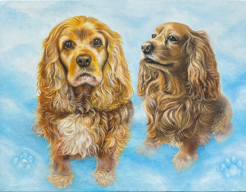 Two cocker spaniels against a blue sky background
